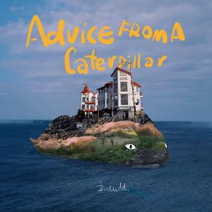 高清金八天国欧美成人
