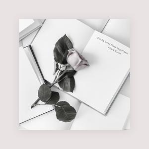 高清金八天国欧美成人
